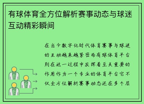 有球体育全方位解析赛事动态与球迷互动精彩瞬间